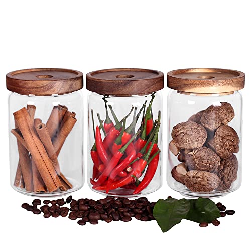 Glass Jars Food Storage Containers with Airtight Acacia Lids