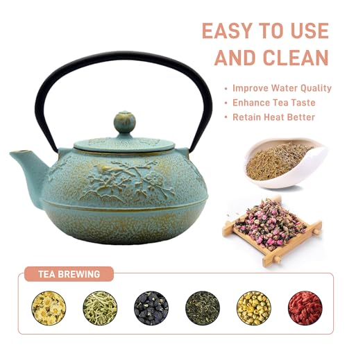 30.4oz Small Cast Iron Tea Kettle