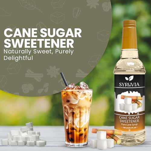 Coffee Syrup Cane Sugar Sweetener Flavored Syrup for Drinks (25.4 Fl Oz)