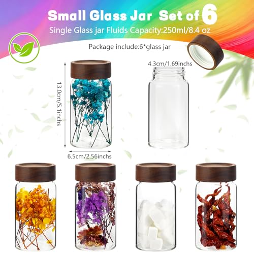 8oz Airtight Glass Jars Small Spice Storage Canister with Wooden Lid Clear Glass Food Container Canning Jar for Cookies Overnight Oats Yogurt Pantry Sugar Tea Coffee Bath Salts