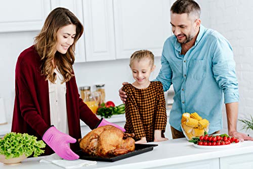 Silicone Smoker Oven Gloves