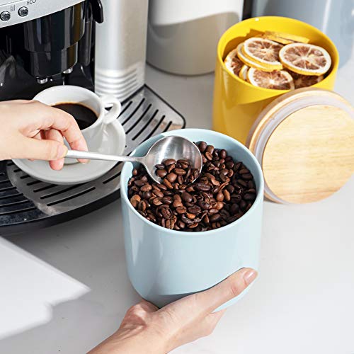 Sweejar Kitchen Canisters Ceramic Food Storage Jar