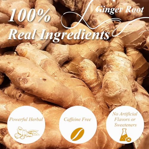 Ginger Tea Bags (100 Count)