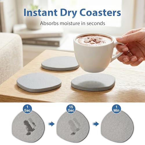 6 Pack Diatomite Absorbent Coasters for Drinks (6 Count)