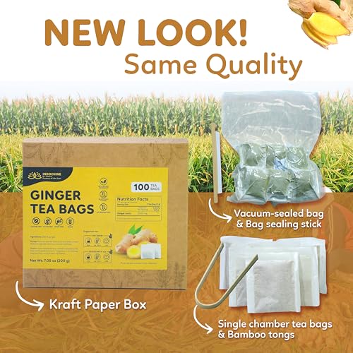 100 Ginger Tea Bags (100 Count)