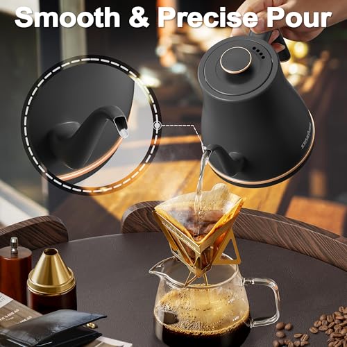Gooseneck Electric Kettle