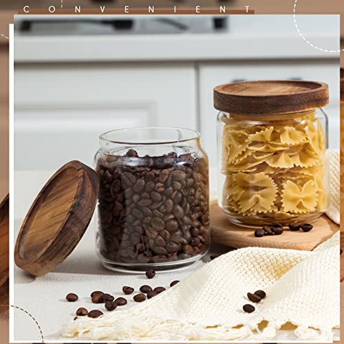 16 Pack Glass Containers Canister Set