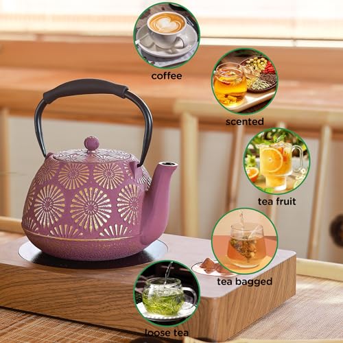 Cast Iron Teapot