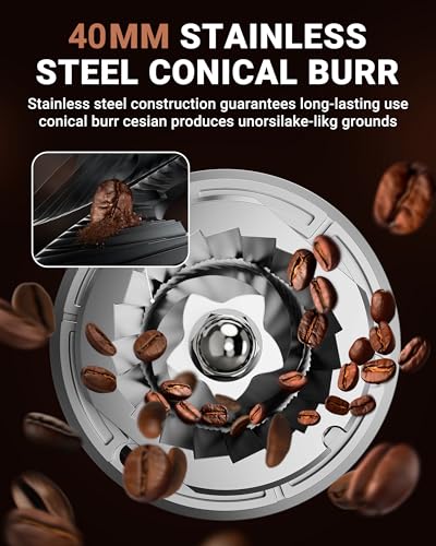Conical Burr Coffee Grinder