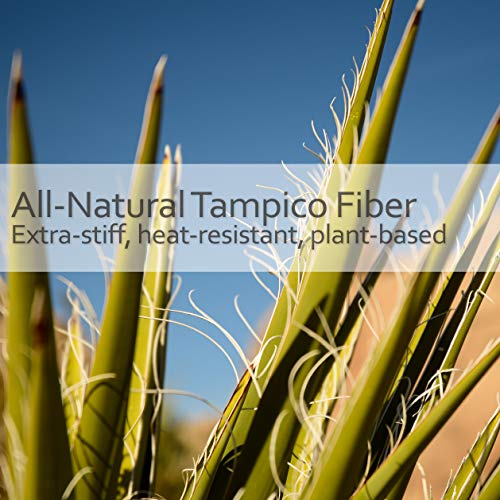 Dish Brush Tampico Fiber (2 Ounce)
