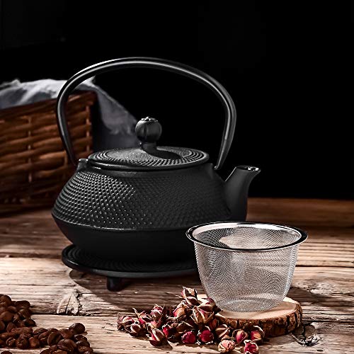 Cast Iron Teapot Set with Infuser