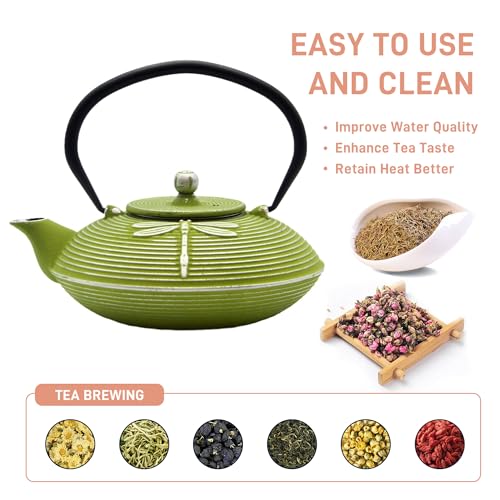 Cast Iron Teapot