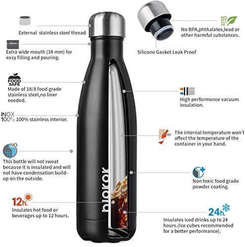 17 oz Insulated Water Bottle