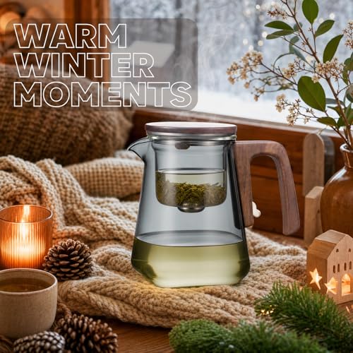 Magnetic Glass Teapot with Infuser