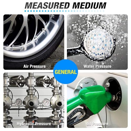 0~100Psi Stainless Steel 1 (2 Count)