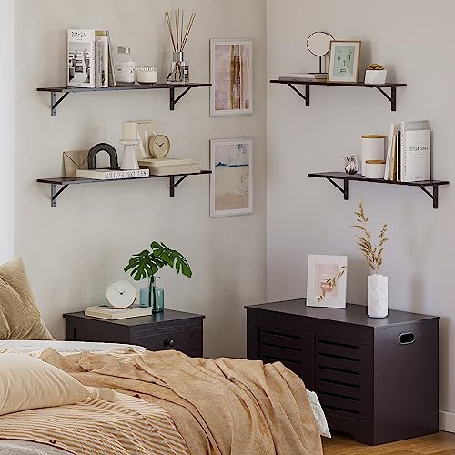 Long Wall Shelves (2 Count)