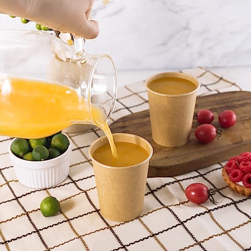 300 Pack Disposable Coffee Cups