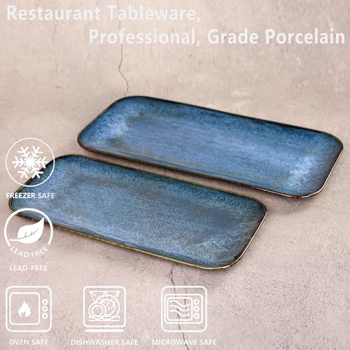 Porcelain Dinner Plates Blue 2 PCS (2 Count)