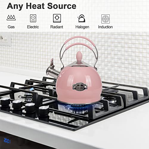 Whistling Tea Kettle Stainless Steel Teapot
