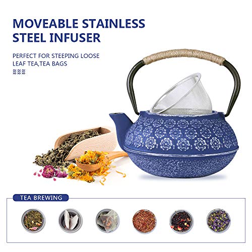 Blue Floral Cast Iron Teapot Set 28 oz Tea Kettle with 4 Cups