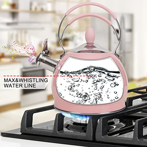 Whistling Tea Kettle Stainless Steel Teapot