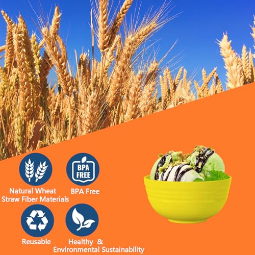 Unbreakable Cereal Bowls 25 OZ Microwave and Dishwasher Safe BPA (6 Count)