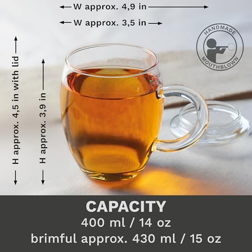 2pcs All-In-One Tea Glass with Stainless Steel Infuser and Lid - 14oz (400ml) (2 Count)