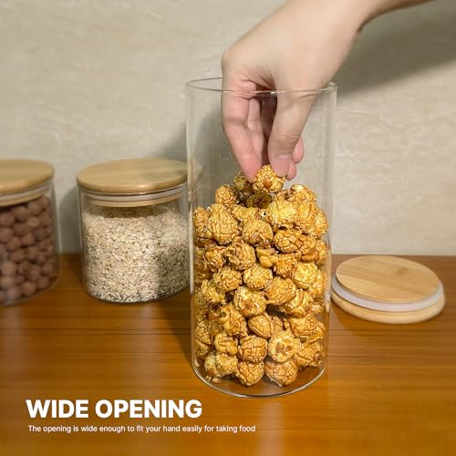 6 Pack Glass Food Storage Jars Set (6 Count)