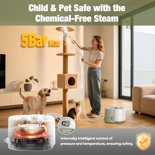 Heavy Duty Steam Cleaner