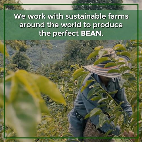 The Bean Organic Coffee Co. Decaf Vanilla Cinnamon (16 Ounce)