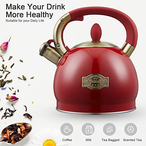 Tea Kettle 2.8 Quart Tea Kettles Stovetop Whistling Teapot Stainless Steel Tea Pots for Stove Top Whistle Tea Pot