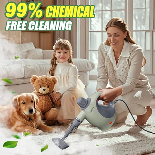 Multi Surface Handheld Pressurized Steam Cleaner with 13 PCS Accessory (13 Count)