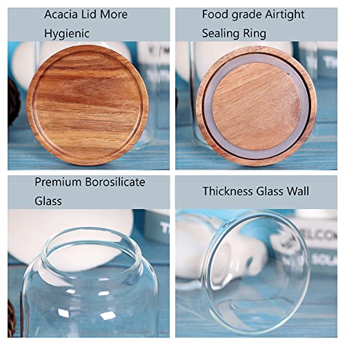 Large Glass Food Canisters