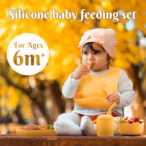 Silicone Baby Feeding Set 6 Pcs (6 Count)