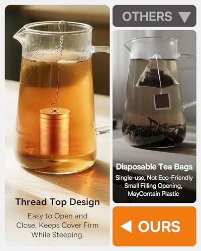 2 Pack Tea Infusers (2 Count)