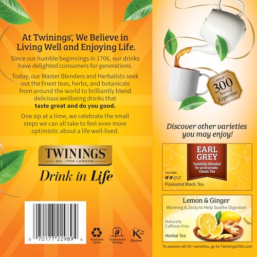 Lady Grey Black Citrus Tea Bags (100 Count)