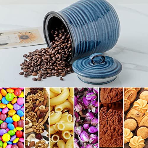 Ceramic Food Storage Jar (30 Ounce)