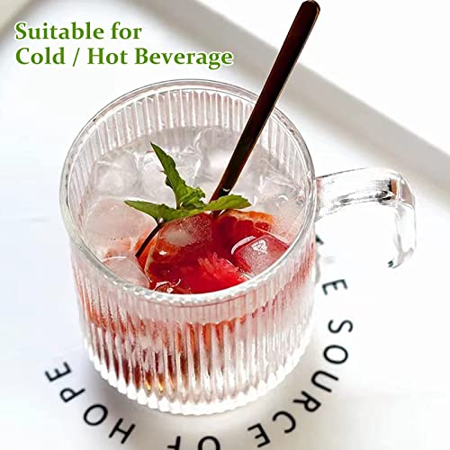 6 PACK Premium Glass Coffee Mugs with Handle (6 Count)
