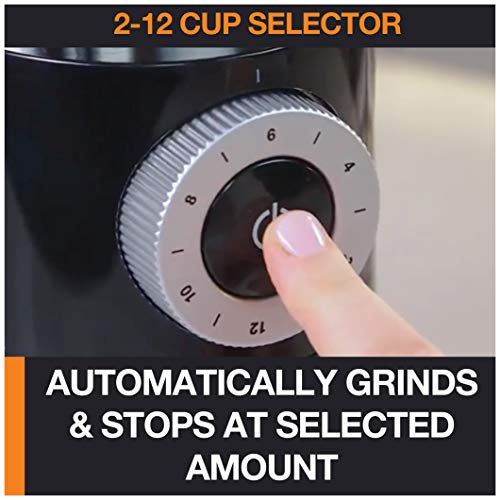 Precision Burr Coffee Grinder