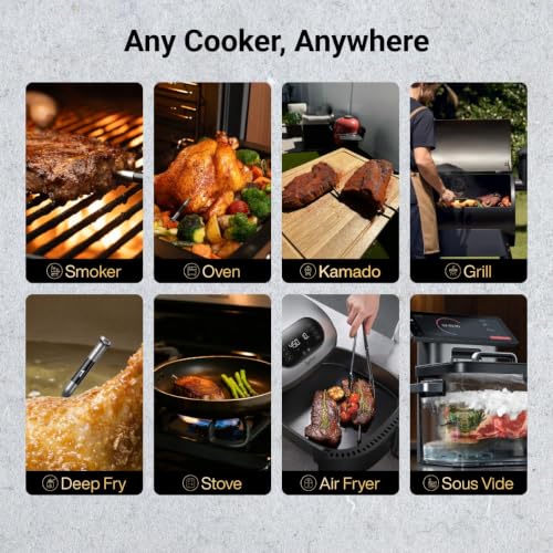 Wireless Meat Thermometer with Smart WiFi Connectivity (2 Count)