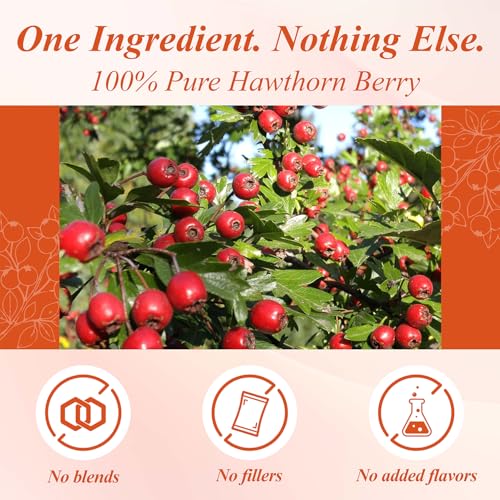Hawthorn Berry Tea Bags 100 Count