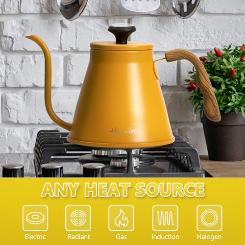 Gooseneck Kettle with Thermometer for Pour Over Coffee and Tea