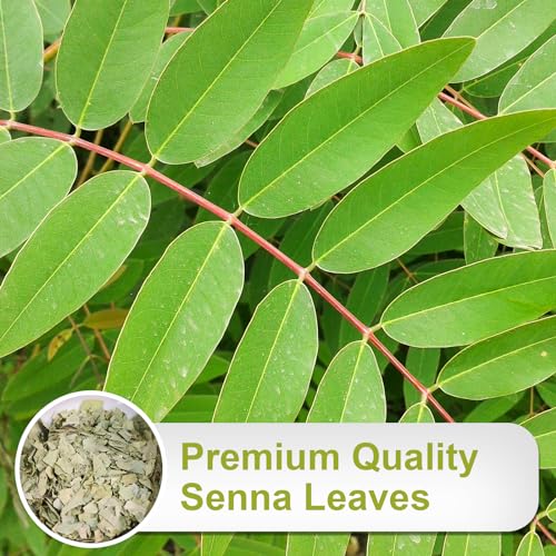 Senna Tea 64 Herbal Tea Bags (64 Count)