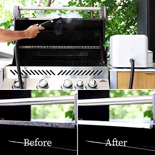 Neat Steam Cleaner for Home