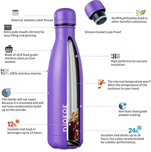 17 oz Insulated Water Bottle