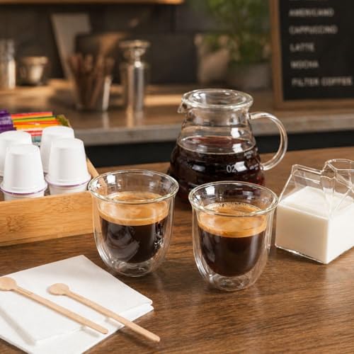 Coffee Cup 2 Pack of 6.8 oz Insulated Double (2 Count)