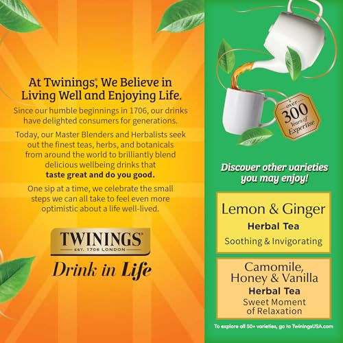 Decaffeinated Green Tea Bags (100 Count)