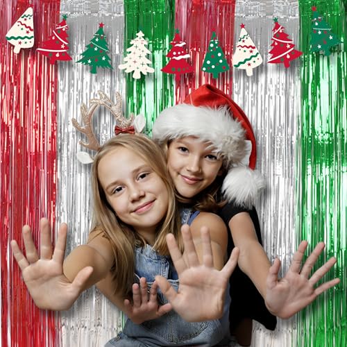 Party Fringe Backdrop Red Silver Green Christmas Decorations (2 Count)