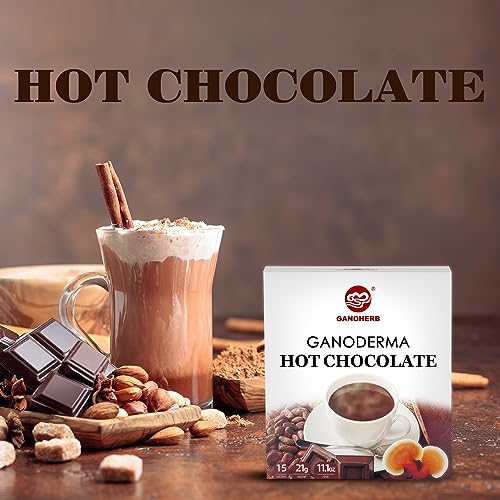 Mushroom Hot Chocolate Mix with Reishi (11.1 Ounce)