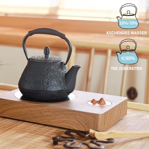 Cast Iron Teapot